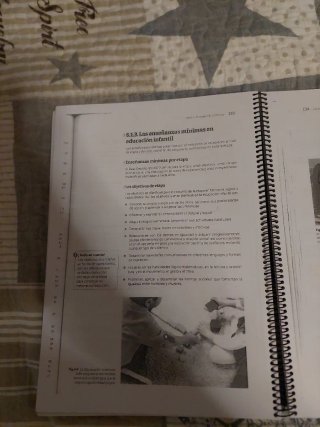 Didáctica de la educación infantil infantil