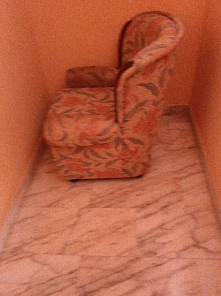 Sofas tapizado floral