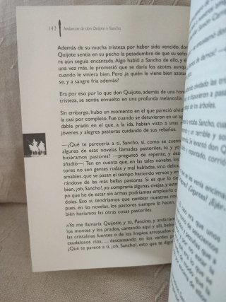 Andanzas de Don Quijote y Sancho