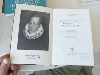 El ingenioso hidalgo Don Quijote de la Mancha.