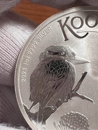 Moneda (onza) de plata Kookaburra 2023 (Australia)