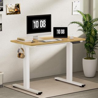 Scrivania elevabile Flexispot EF1 + piano in legno