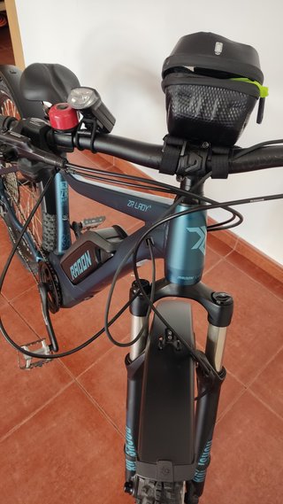 Bicicleta Eléctrica Radon ZR Lady Montaña