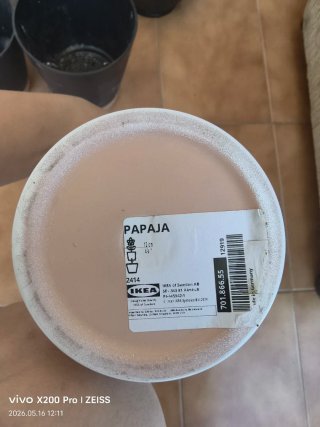 Juego de 7 macetas y jarra