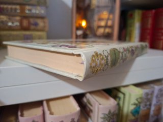libro werther