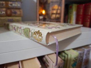 libro werther