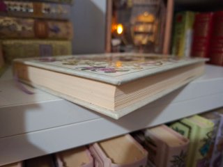 libro werther