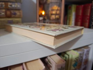 libro werther