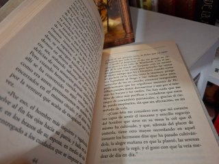 libro werther