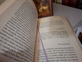 libro werther