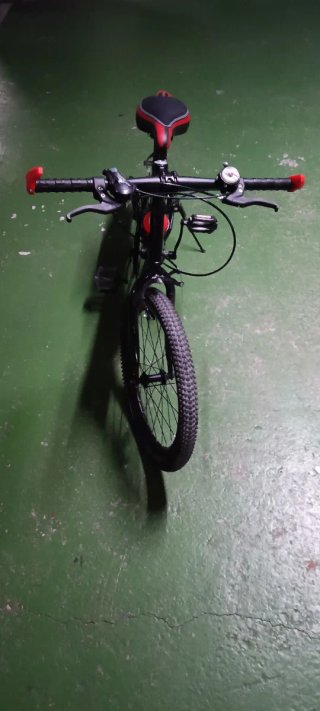 Bicicleta 20 pulgadas
