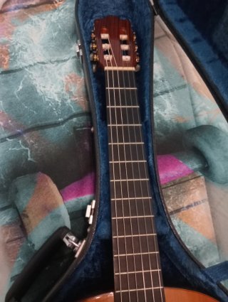 Guitarra Española Alhambra Mod. 5P - 1982