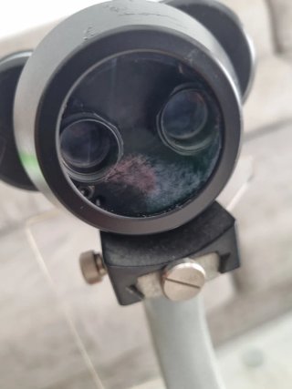 Microscopio Óptico Profesional