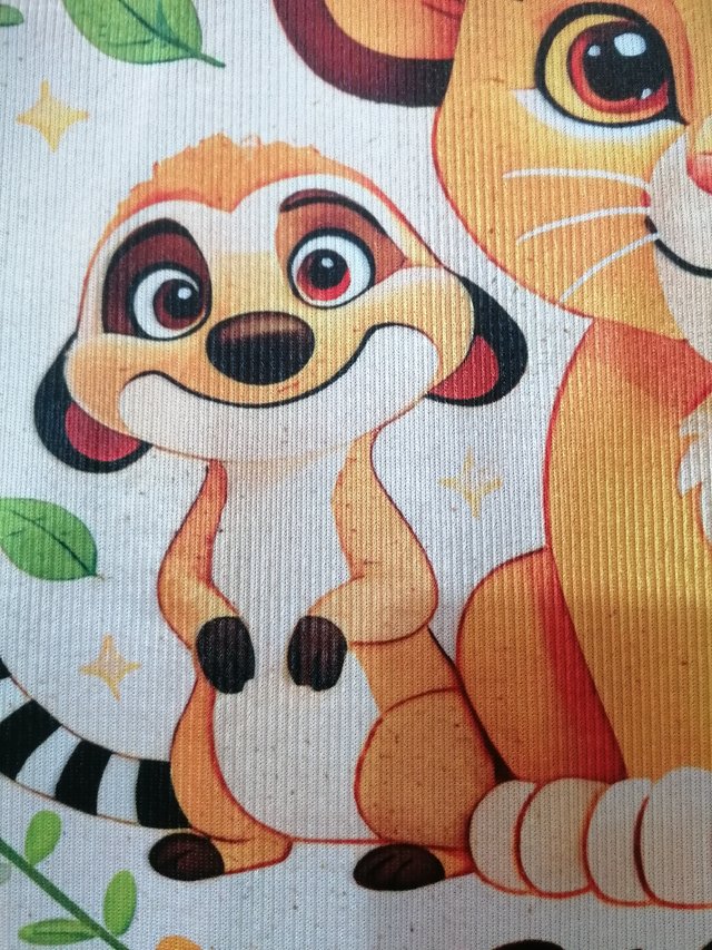 Regalo alfombra Rey león