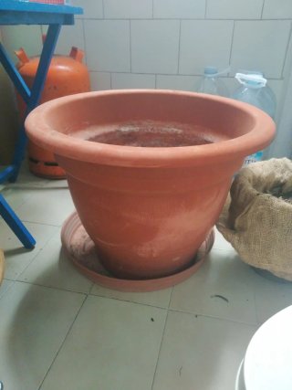 Maceta grande de plástico con plato