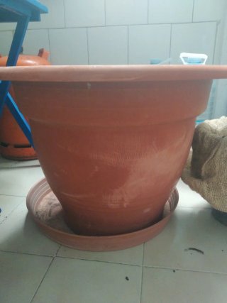 Maceta grande de plástico con plato