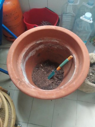 Maceta grande de plástico con plato