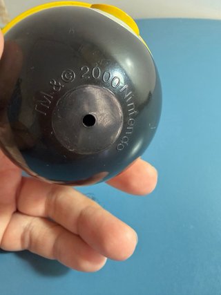 Poké Ball Pokémon