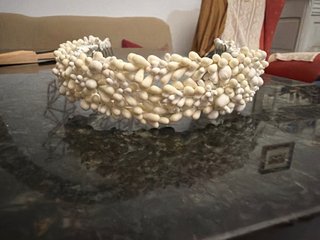 Diadema Novia Beige/Blanco