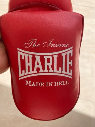 Espinilleras tibiales Kickboxing Dread Charlie