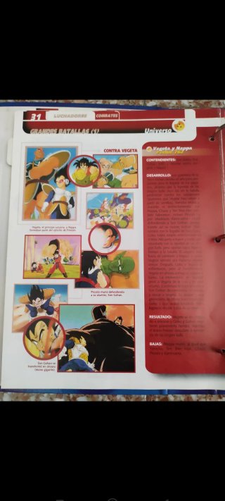 Colección Dragon Ball pinta tus personajes