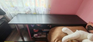 Cama y escritorio juvenil