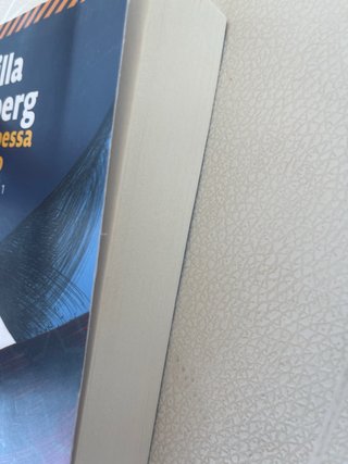 La principessa di ghiaccio. I delitti di Fjällb...