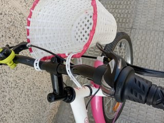 Bicicleta B-Pro 20 Infantil