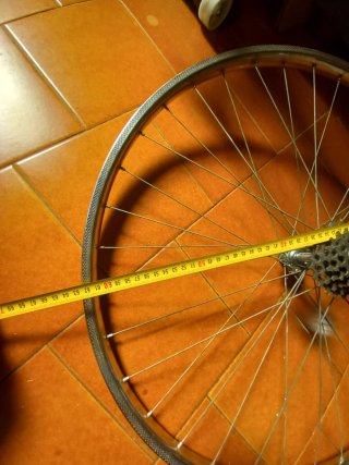 Ruota Bici Corsa Vintage con Pacco Pignoni Regina