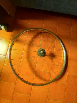 Ruota Bici Corsa Vintage con Pacco Pignoni Regina