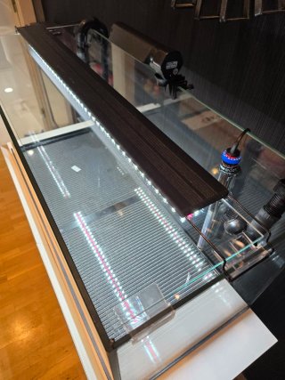 Acuario Profesional 180L Equipado