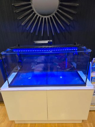 Acuario Profesional 180L Equipado