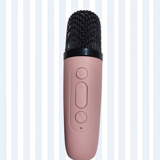 Sistema Karaoke con 2 Micrófonos