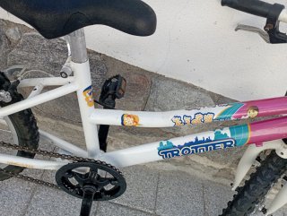 Bicicleta Trotter 20 Infantil