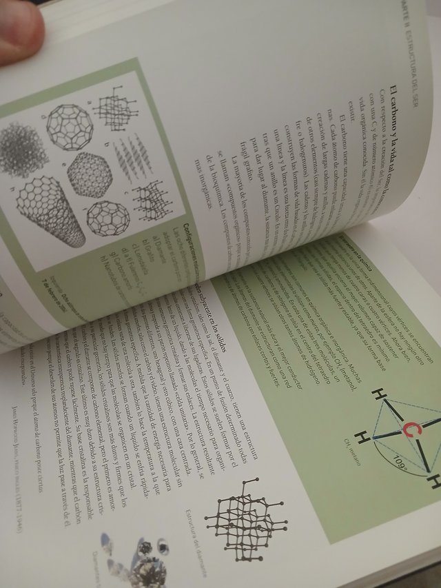 La Geometría Oculta de la Vida La Ciencia Y La ...