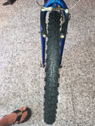Bicicleta