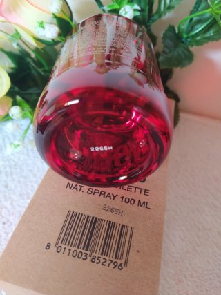 DSQUARED2 Red Wood Eau de Toilette 100ml