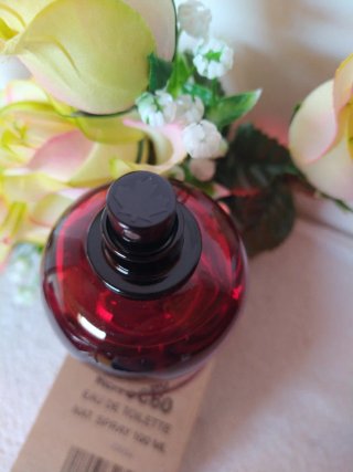 DSQUARED2 Red Wood Eau de Toilette 100ml