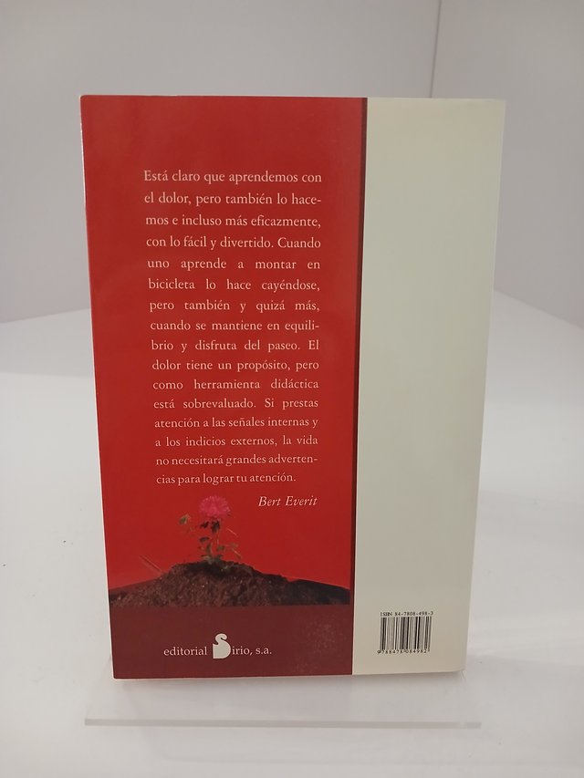 El Secreto Del Sr. Everit