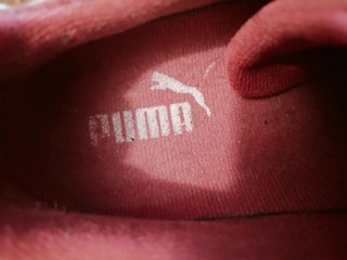 Puma Speedcat