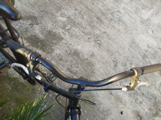 Bicicletta pieghevole nera perfetta