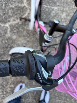 Bicicletta bambina cerchio 24