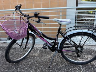 Bicicletta bambina cerchio 24