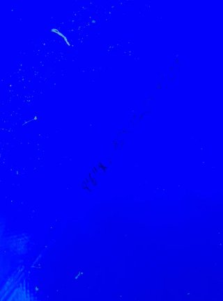 Tabla Longboard 9'6'' Azul.