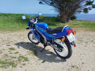 Yamaha tzr 125