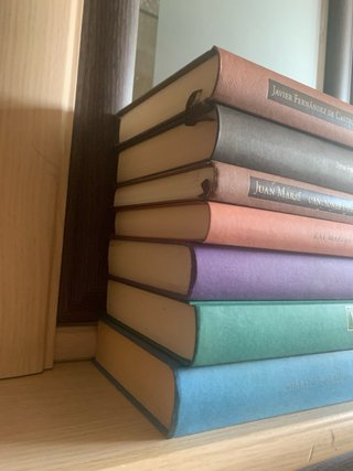 Lote de 14 libros