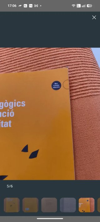 Criteris psicopedagògics per a l'atenció a la d...