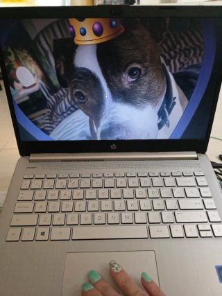 HP Laptop 14s Plata y Negro