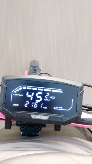 Patinete eléctrico SmartGyro Crossover lr dgt
