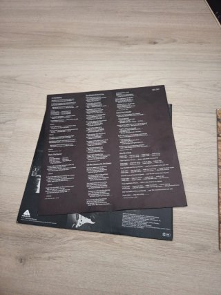 2 LPs Willie Nile